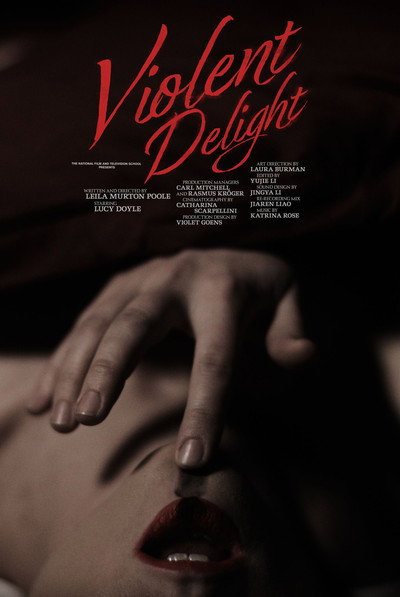 Póster de Violent Delight