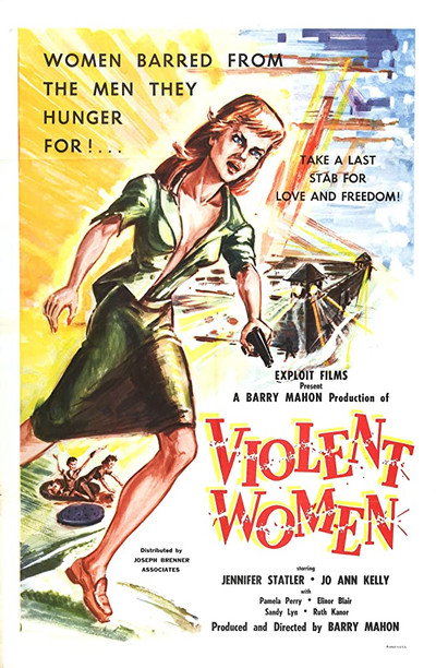 Póster de Violent Women