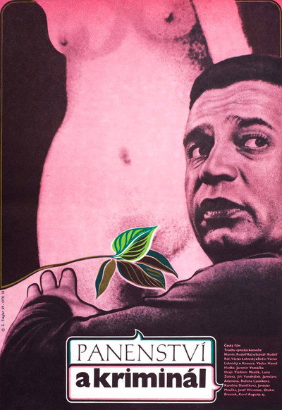 Póster de Virginity and Prison