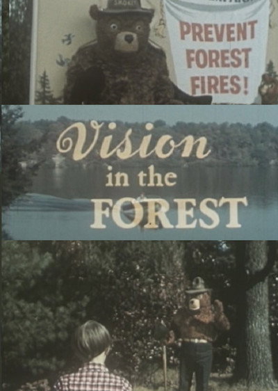 Póster de Vision in the Forest