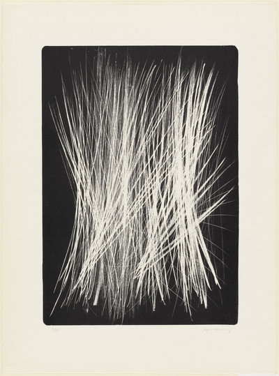Póster de Visite à Hans Hartung