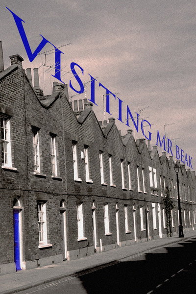 Póster de Visiting Mr. Beak