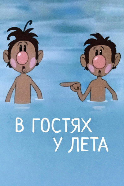 Póster de Visiting Summer