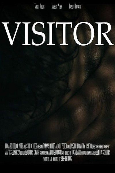 Póster de Visitor