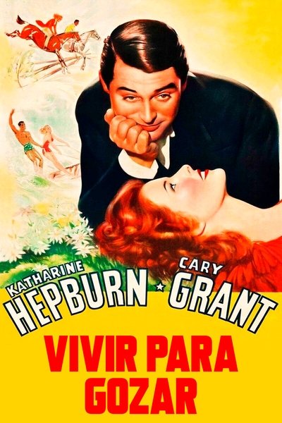 Póster de Vivir para gozar
