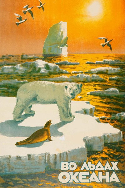 Póster de Vo l'dakh okeana