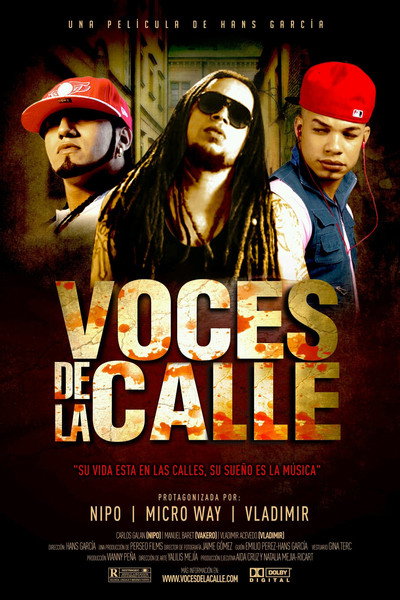 Póster de Voces de la Calle