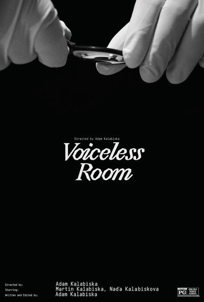 Póster de Voiceless Room
