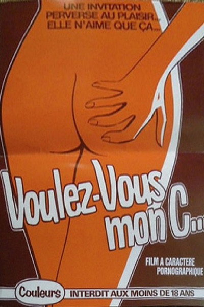 Póster de Voulez-vous mon c...?
