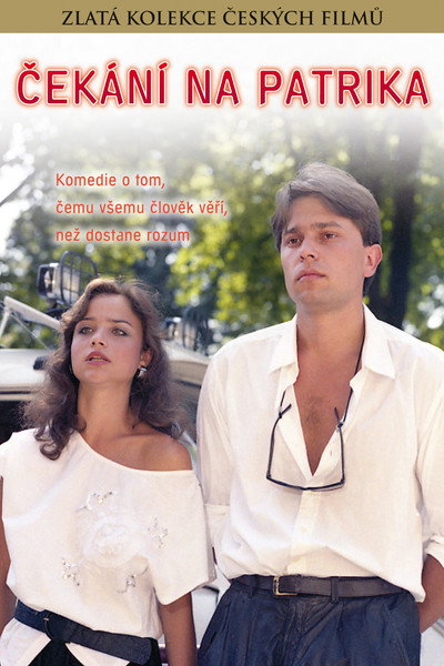 Póster de Waiting for Patrik