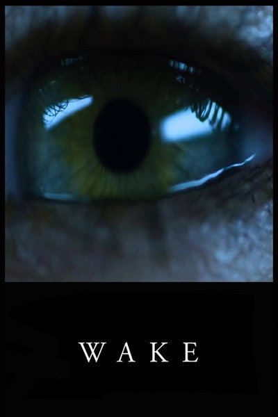 Póster de Wake