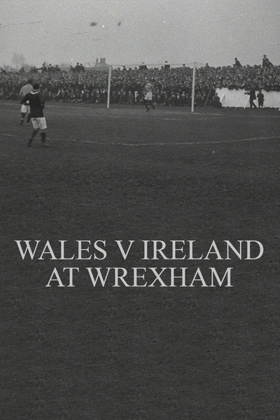 Póster de Wales v. Ireland at Wrexham