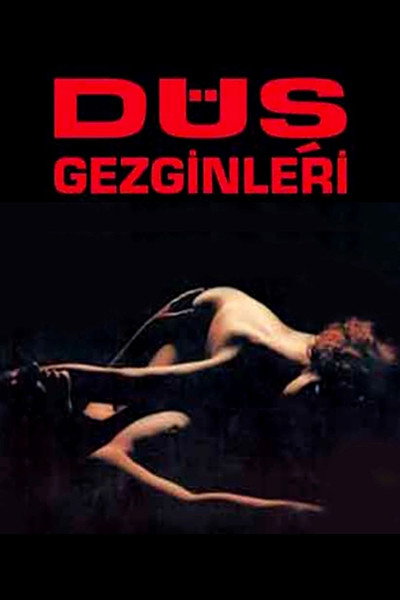 Póster de Walking After Midnight