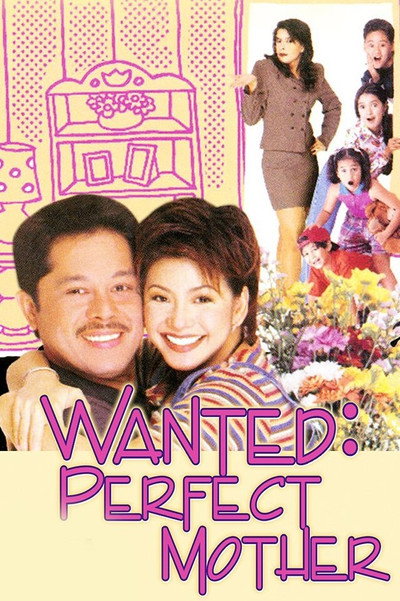 Póster de Wanted: Perfect Mother