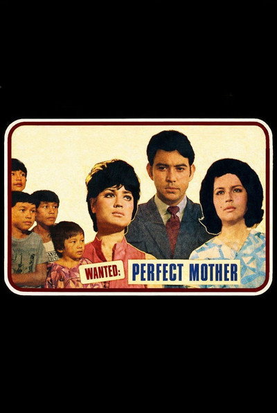 Póster de Wanted: Perfect Mother
