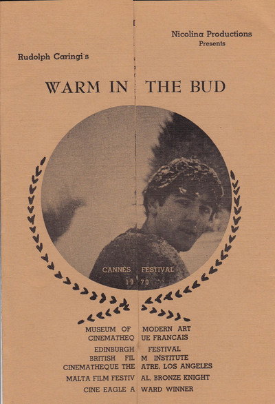 Póster de Warm in the Bud