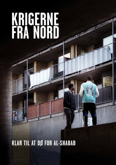 Póster de Warriors from the North