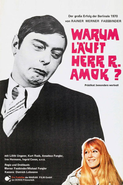 Póster de Warum läuft Herr R. Amok