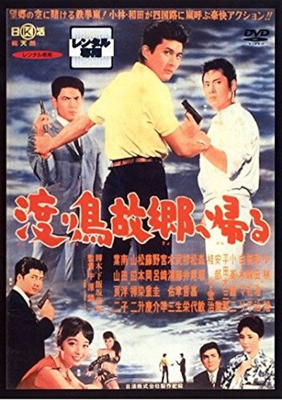 Póster de Wataridori kokyô e kaeru