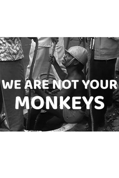 Póster de We Are Not Your Monkeys
