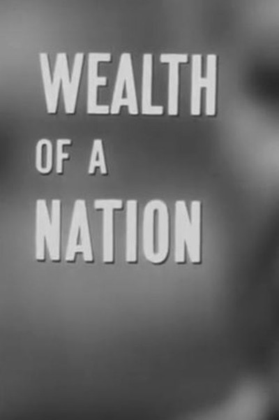 Póster de Wealth of a Nation