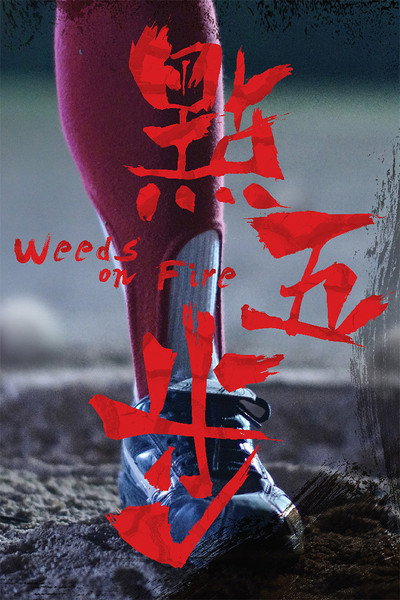 Póster de Weeds on Fire