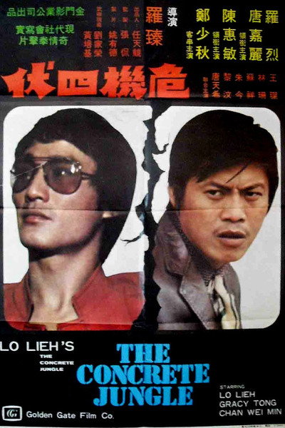 Póster de Wei ji si fu