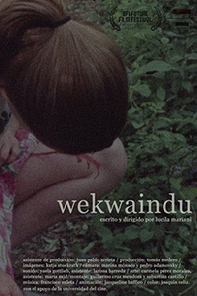 Póster de Wekwaindu