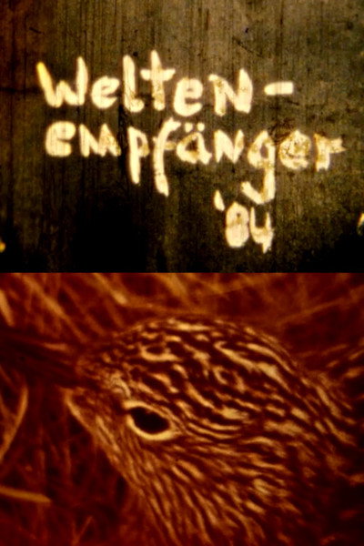 Póster de Weltenempfänger