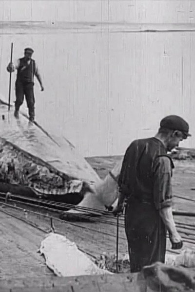 Póster de Whaling Afloat and Ashore