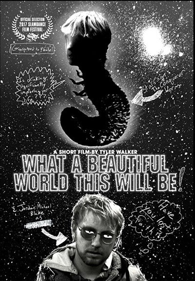 Póster de What a Beautiful World This Will Be
