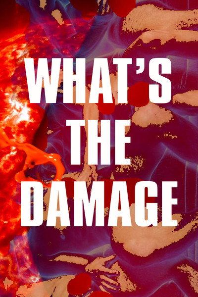 Póster de What's the Damage