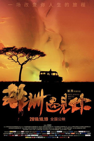 Póster de When Africa Meets You