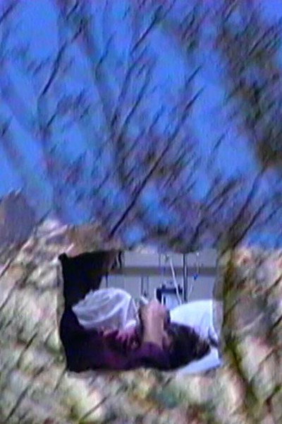 Póster de When My Mother's Brother Was Born, It Smelled Like Wild Pear Blossom in Front of the Brown-Burnt Sill