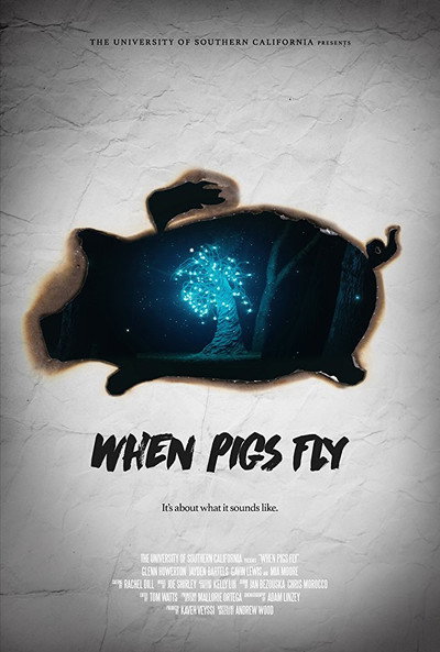 Póster de When Pigs Fly