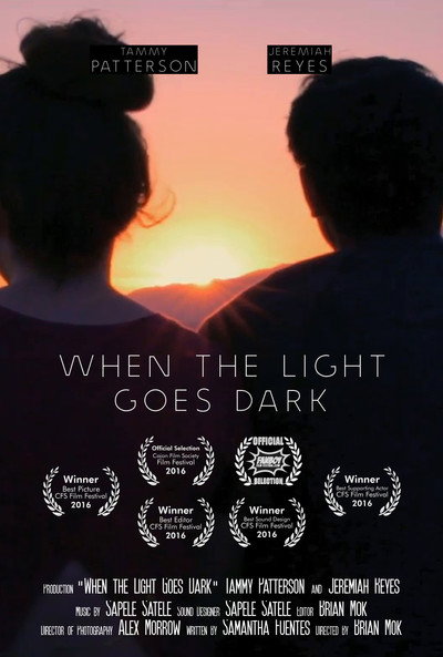 Póster de When the Light Goes Dark