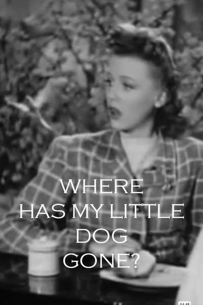 Póster de Where Has My Litttle Dog Gone?