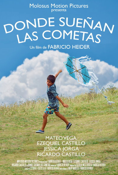 Póster de Where kites dream