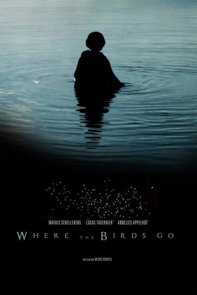 Póster de Where the Birds Go