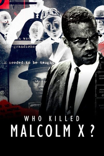 Póster de Who Killed Malcolm X?