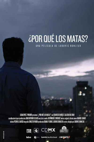 Póster de Why Kill Them?