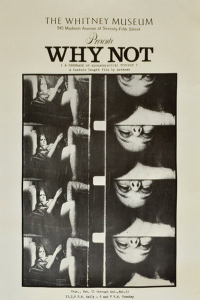 Póster de Why Not: A Serenade of Eschatological Ecology