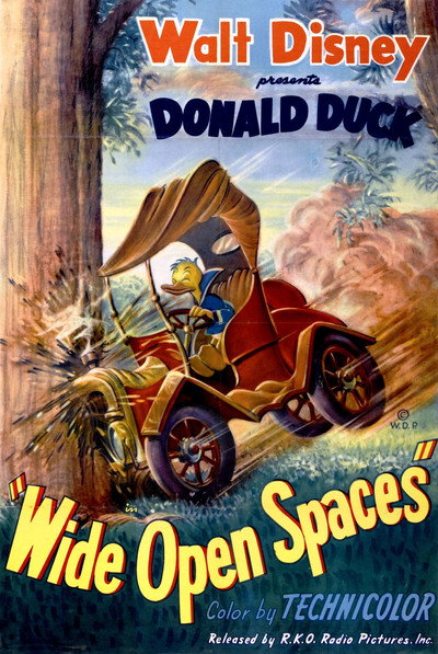 Póster de Wide Open Spaces