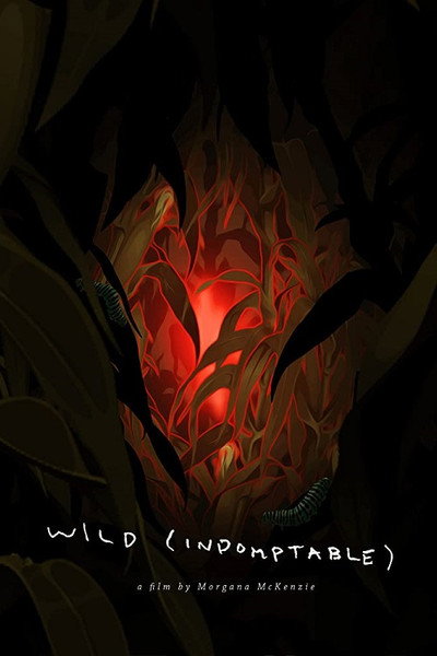 Póster de Wild