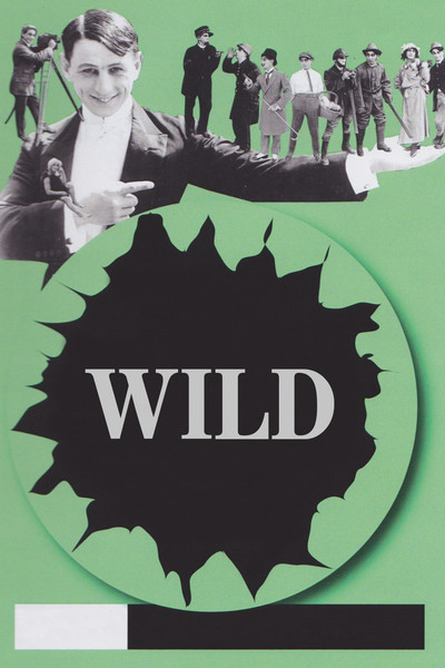 Póster de Wild
