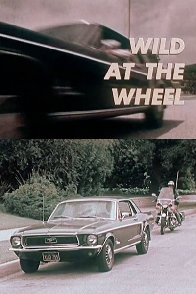 Póster de Wild at the Wheel