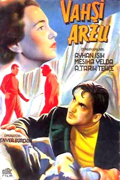 Póster de Wild Desire