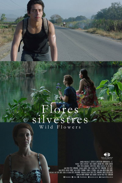 Póster de Wild Flowers