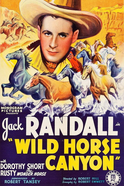 Póster de Wild Horse Canyon