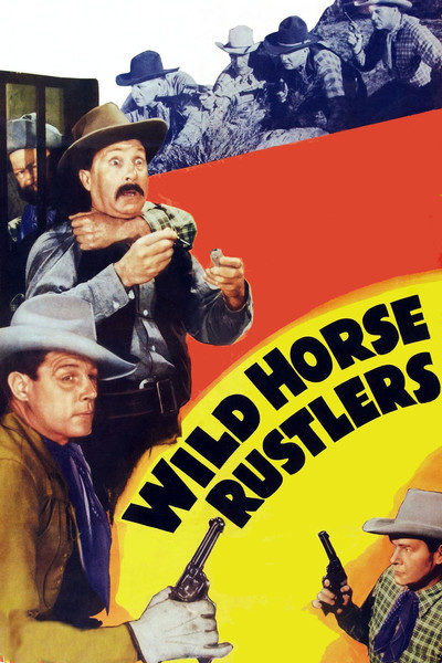 Póster de Wild Horse Rustlers